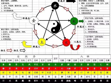 丙火 性格|基础知识︱十天干「丙火」之释义︱特质•契合度•十二支对应性格